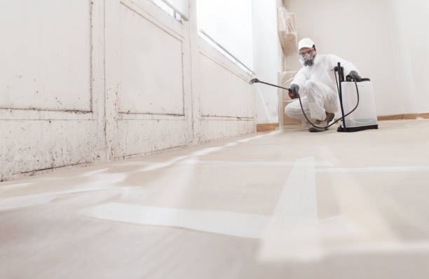 24/7 Emergency Mold Removal experts in Freeman, VA